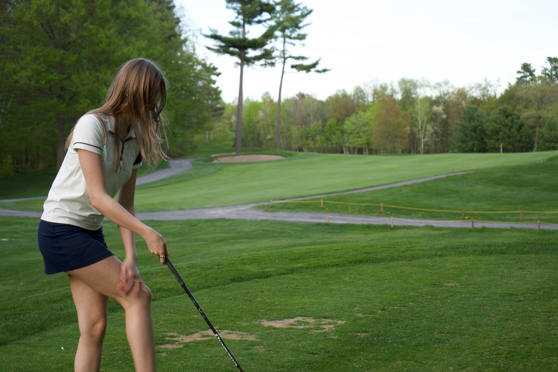 Deer Golf — on the green